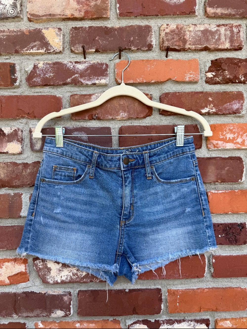 EUC Universal Thread Shorts